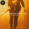 Ed Harcourt - Visit From The Dead Dog (7'')
